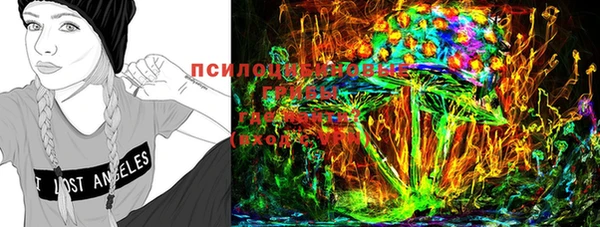 ПСИЛОЦИБИНОВЫЕ ГРИБЫ Касимов