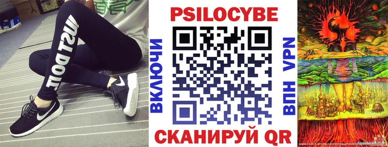 Купить  Петровск  Галлюциногенные грибы мицелий 